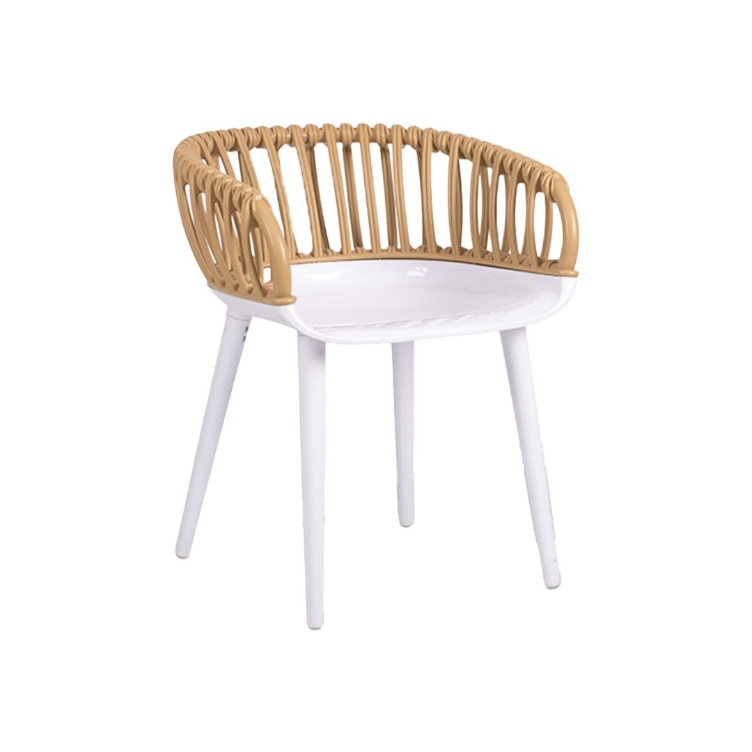 Venezia